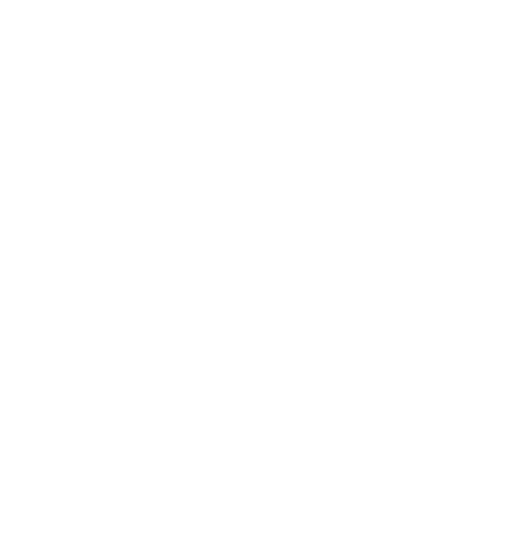 SKY BEE MINI LOGO